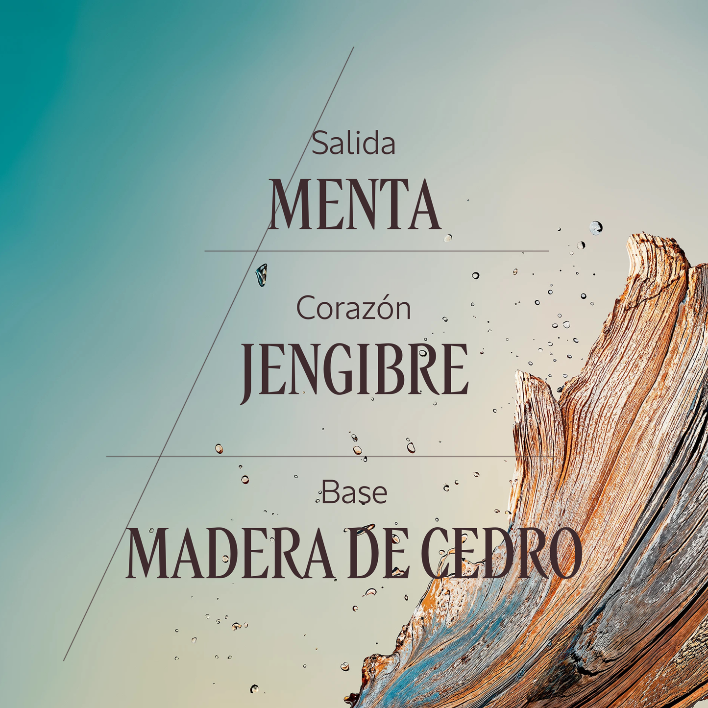 Eau de toilette Cèdre Gingembre