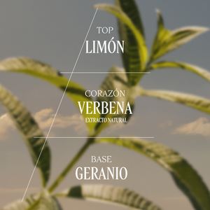 Verbena Eau de Toilette