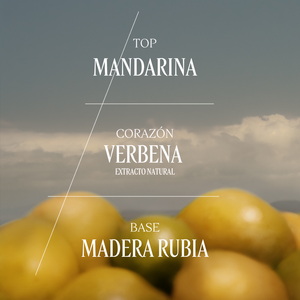 Verbena Citrica Eau de Toilette