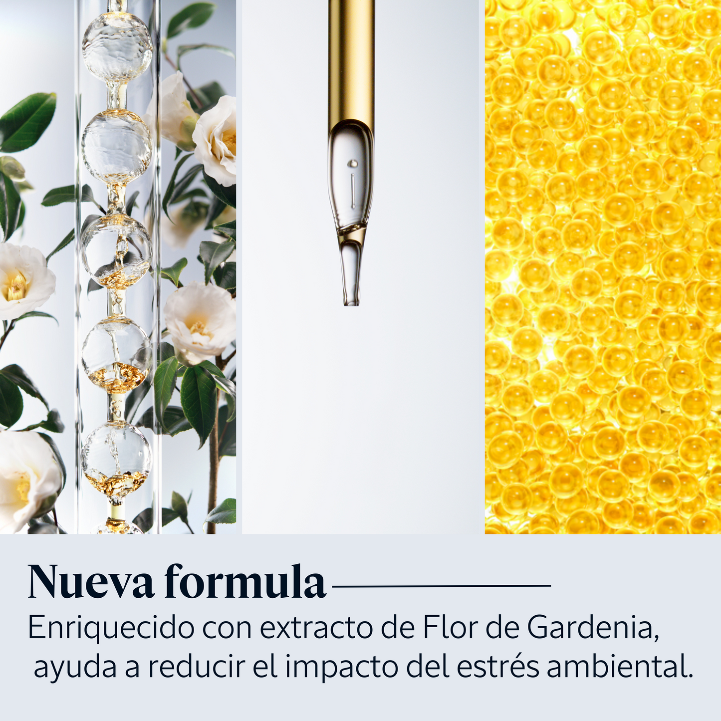 Serum Overnight Reset 30ml