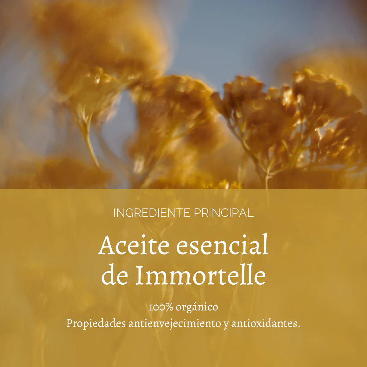 Aceite de Juventud Immortelle Divina