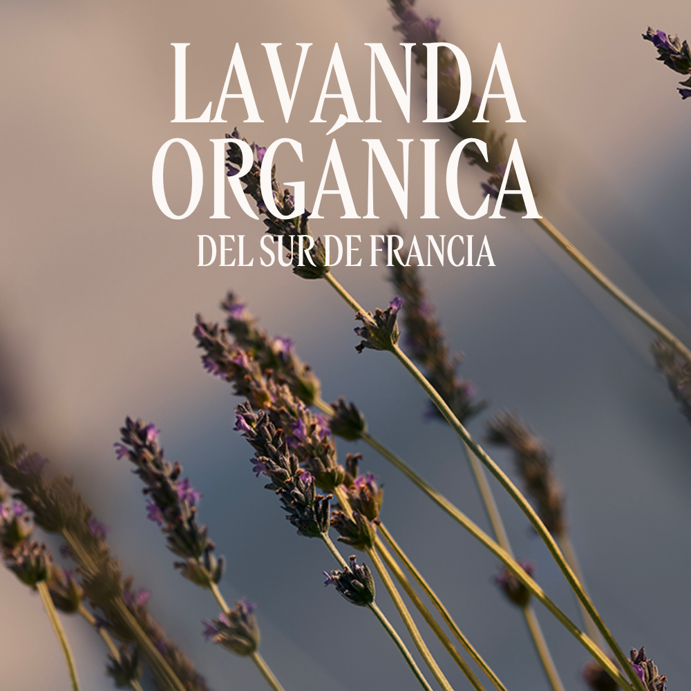Eau de toilette Lavanda