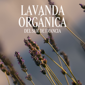 Eau de toilette Lavanda
