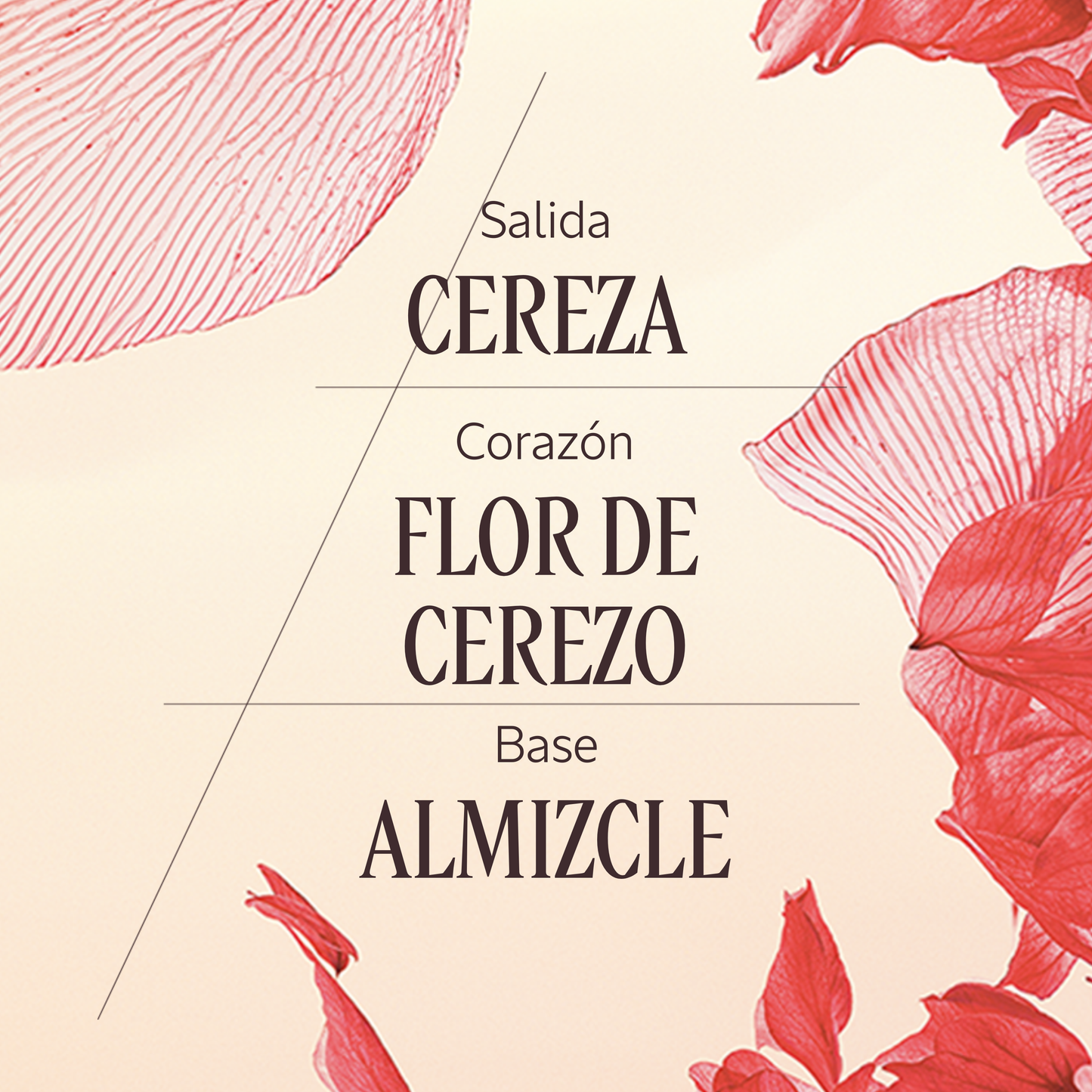 Loción Corporal Fleurs de Cerisier