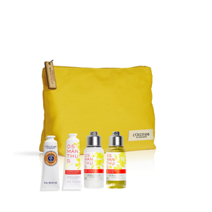 Kit Yellow Osmanthus