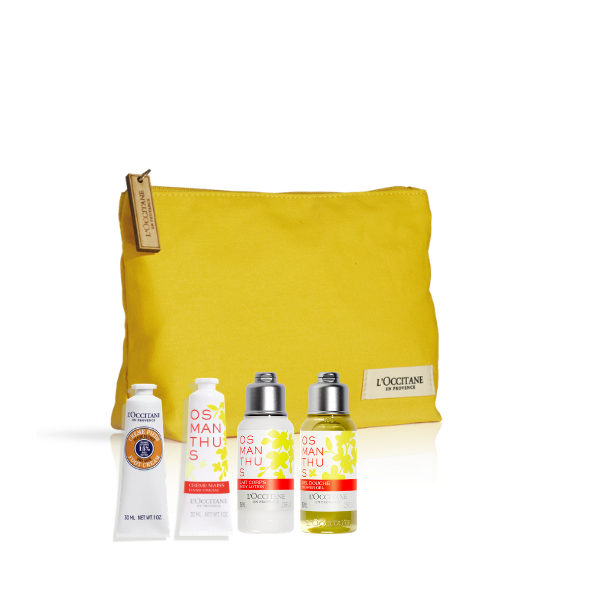 Kit Yellow Osmanthus