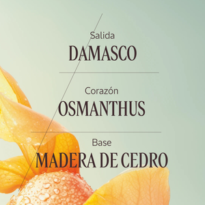 Eau de Toilette Osmanthus Abricot